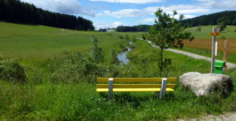 Gebiet Madetswiler Riet: Bachöffnung Anwandelbach mit neuer Landwirtschaftsstrasse