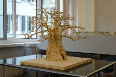 3D Modell Baobab-Baum