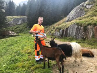 Dimitri mit neugierigen Geissen Dimitri mit neugierigen Geissen